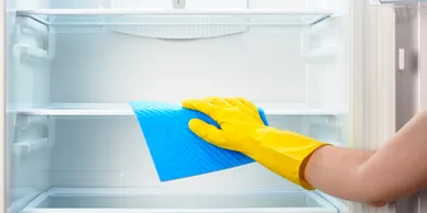 Residential Cleaning Service 1